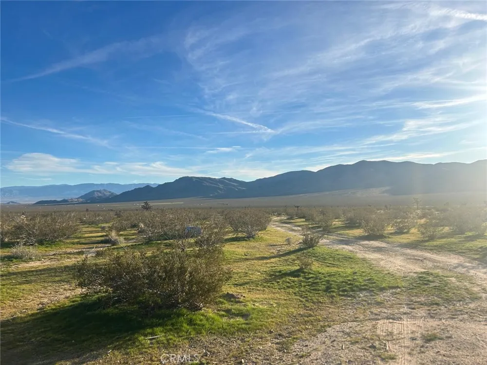 30002 Pipeline Lucerne Valley, CA 92356