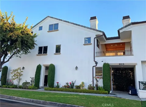 601 Poinsettia