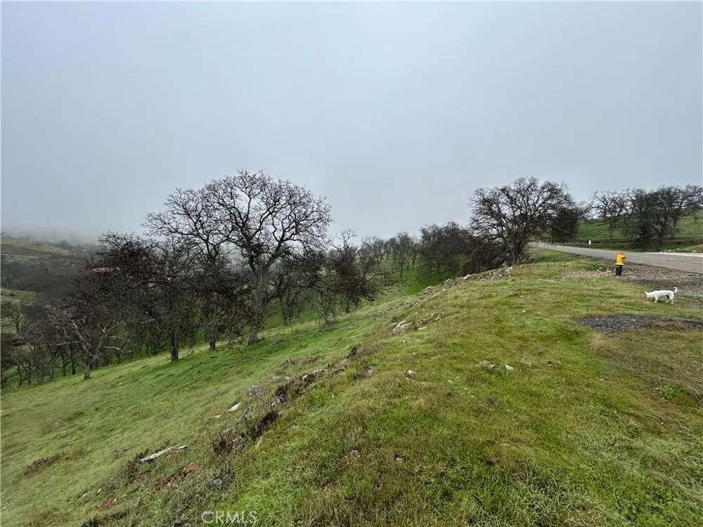 9784 Torito La Grange, CA 95329