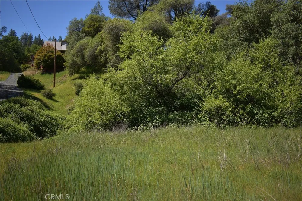 15788 Brewer Grass Valley, CA 95949