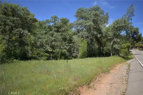15788 Brewer