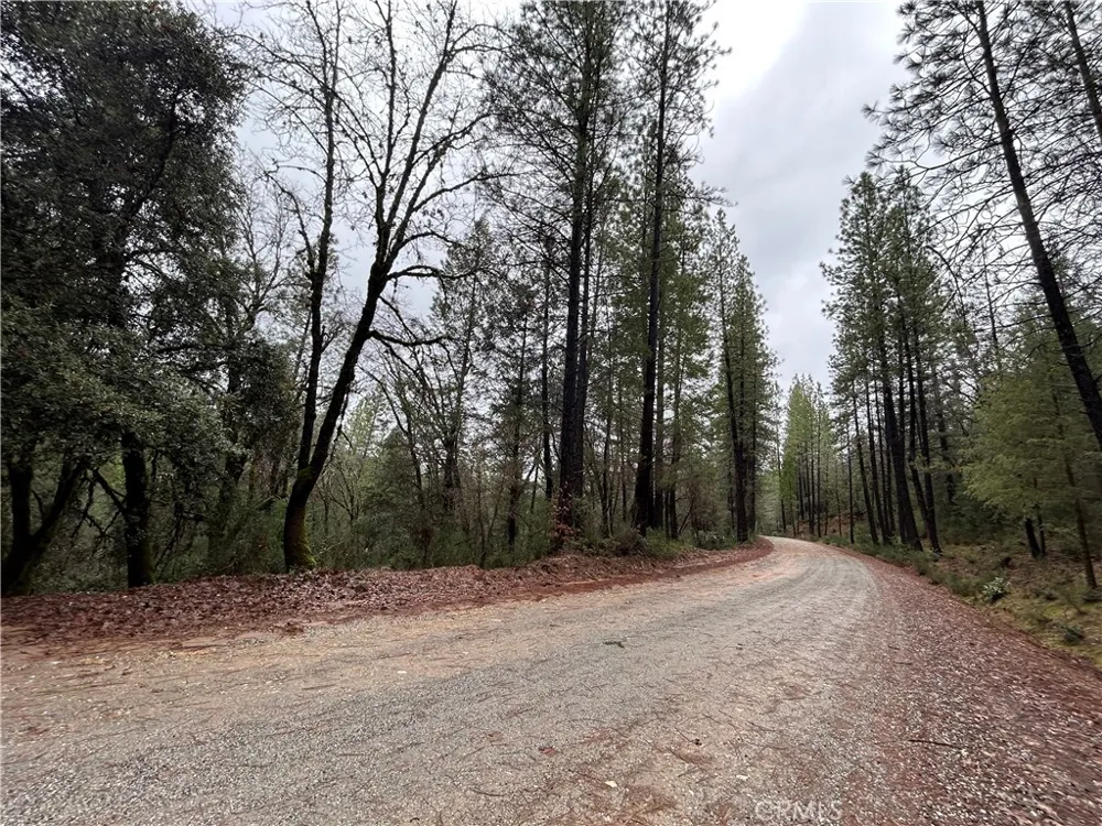 14435 Grizzly Hill Nevada City, CA 95959