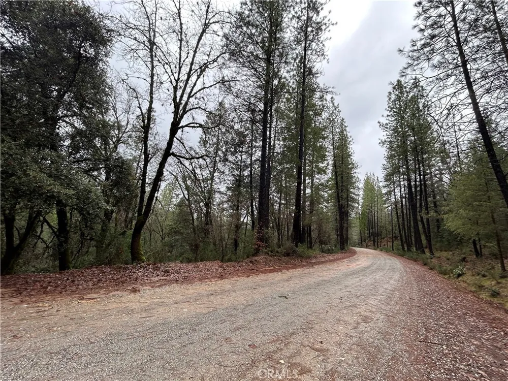 14435 Grizzly Hill Nevada City, CA 95959