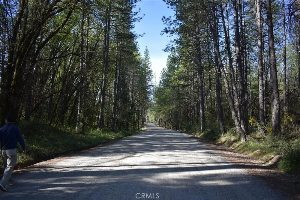 14435 Grizzly Hill Nevada City, CA 95959