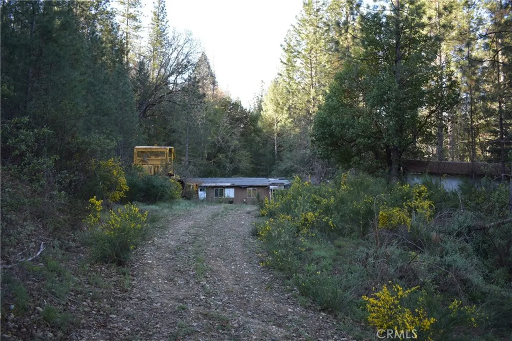14550 Grizzly Hill Nevada City, CA 95959