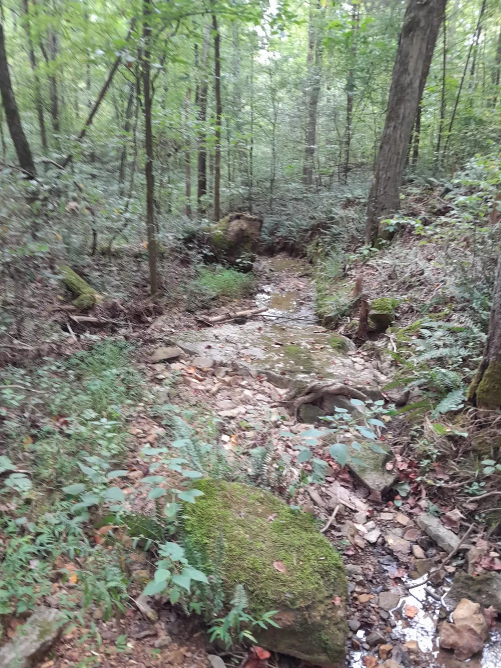 0 Meadows Rd Portland, TN 37148