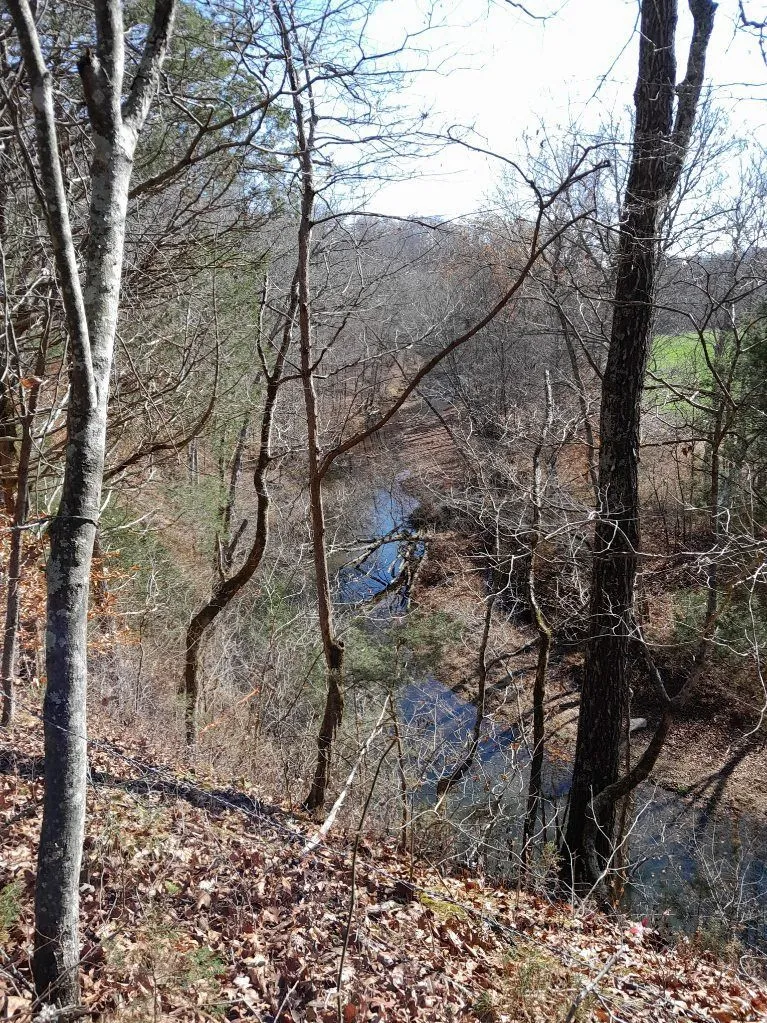 0 Meadows Rd Portland, TN 37148