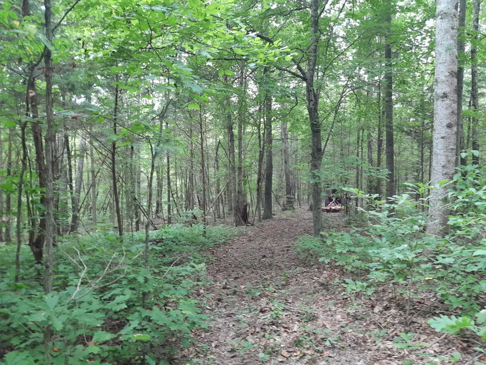 0 Meadows Rd Portland, TN 37148
