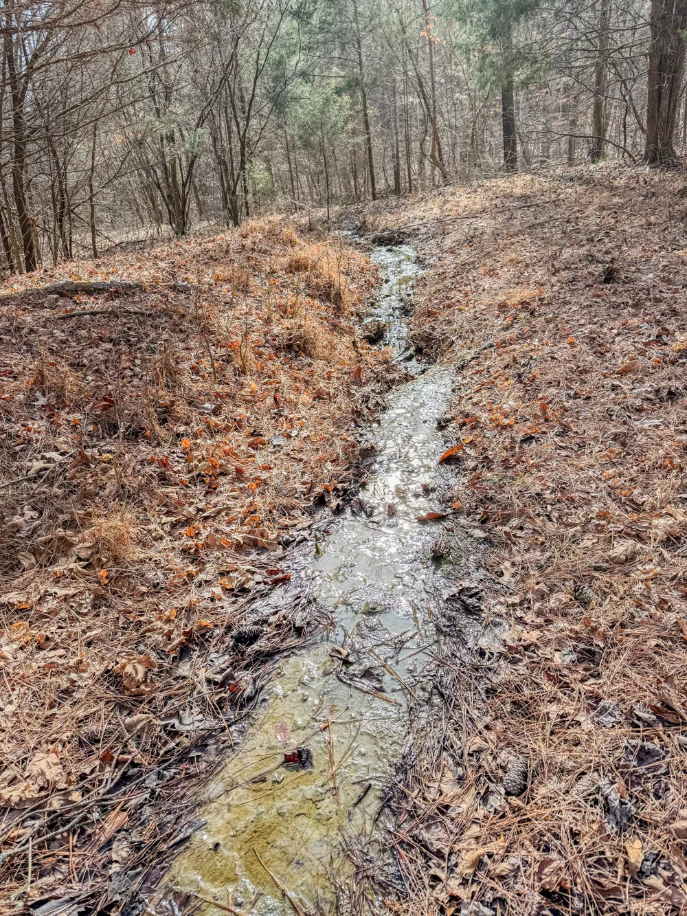 0 Meadows Rd Portland, TN 37148