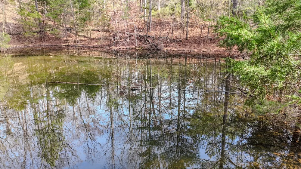 0 Meadows Rd Portland, TN 37148