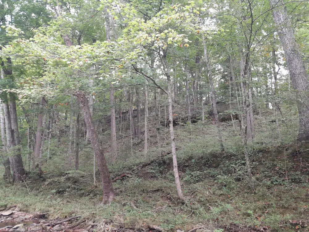 0 Meadows Rd Portland, TN 37148