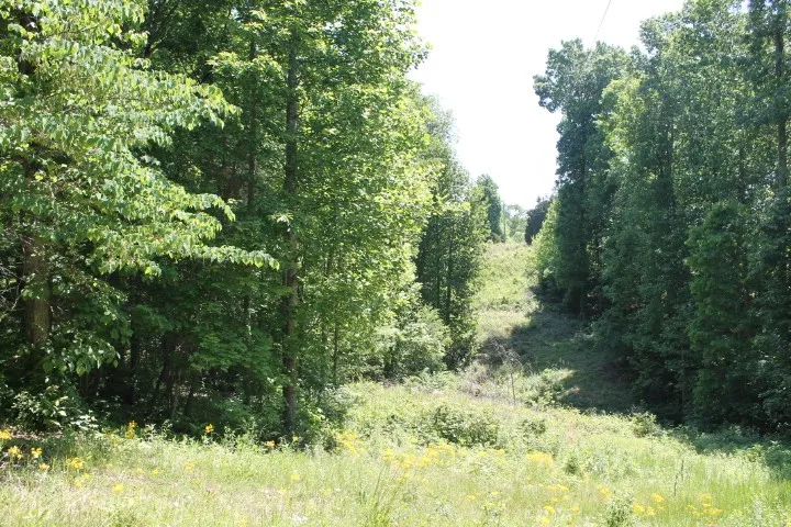 0 Meadows Rd Portland, TN 37148