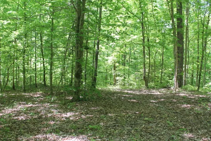 0 Meadows Rd Portland, TN 37148