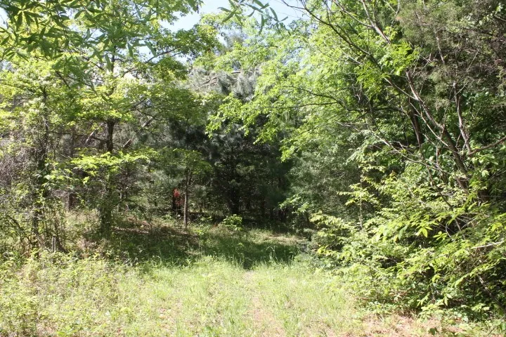 0 Meadows Rd Portland, TN 37148
