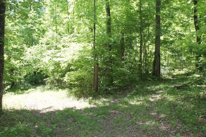 0 Meadows Rd Portland, TN 37148