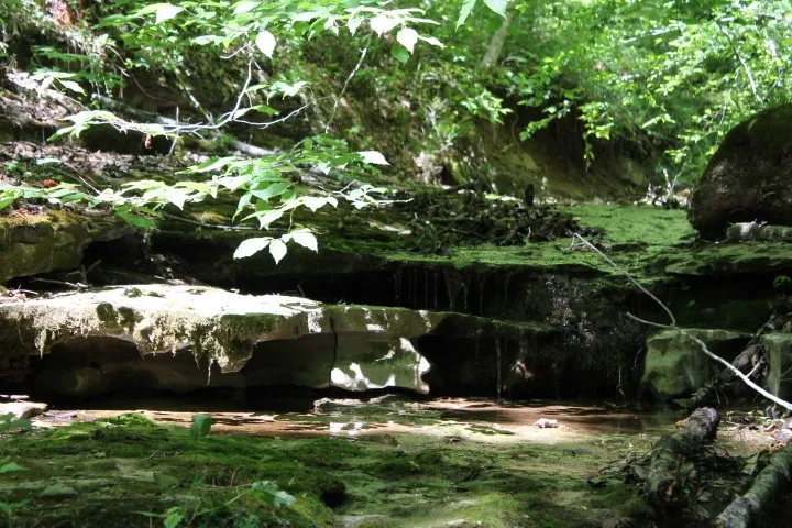 0 Meadows Rd Portland, TN 37148