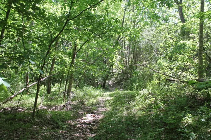 0 Meadows Rd Portland, TN 37148