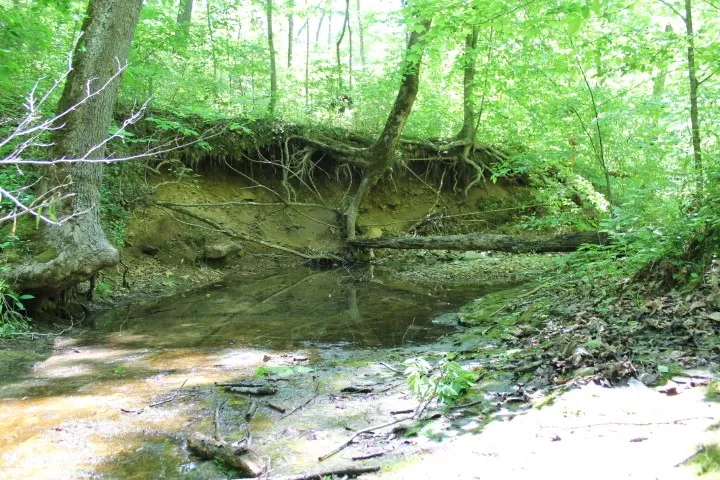 0 Meadows Rd Portland, TN 37148