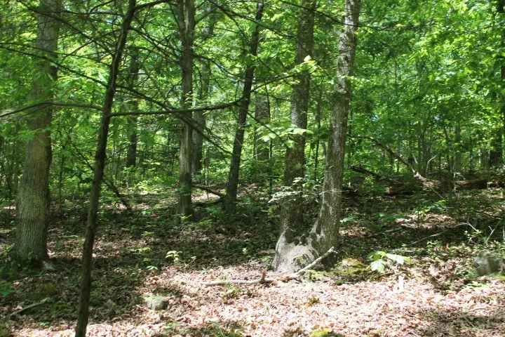 0 Meadows Rd Portland, TN 37148