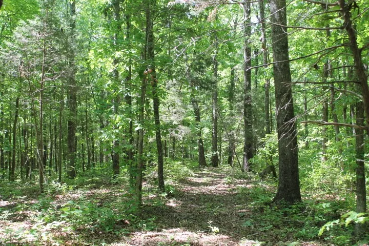 0 Meadows Rd Portland, TN 37148