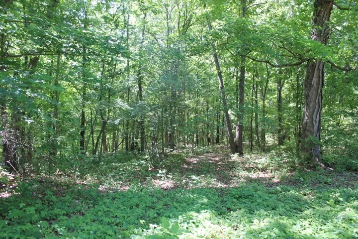0 Meadows Rd Portland, TN 37148