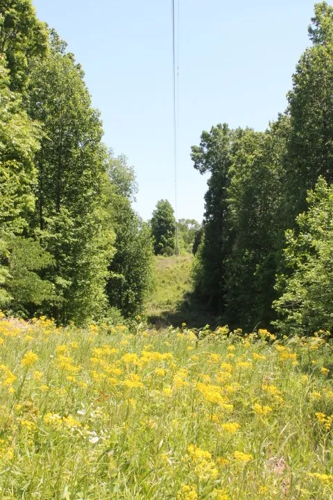 0 Meadows Rd Portland, TN 37148