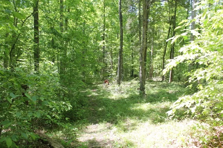 0 Meadows Rd Portland, TN 37148