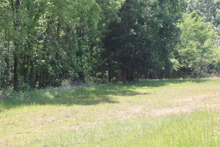 0 Meadows Rd Portland, TN 37148