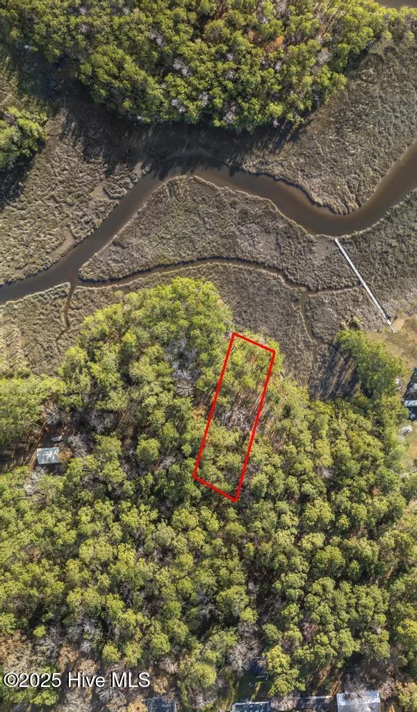227 Youpon Drive Hubert, NC 28539