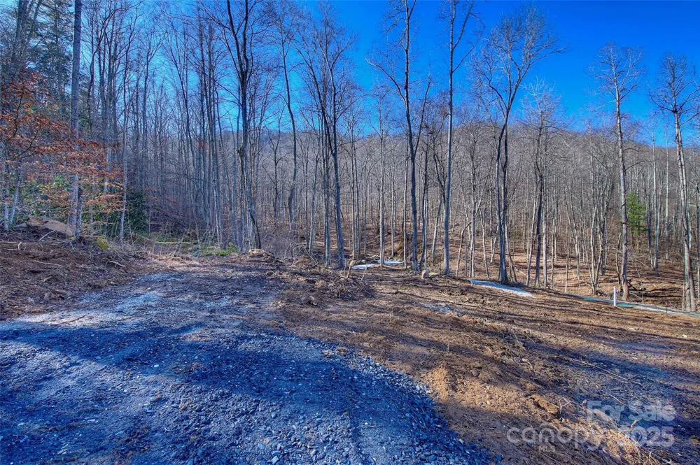 00 Shadowood Drive Spruce Pine, NC 28777