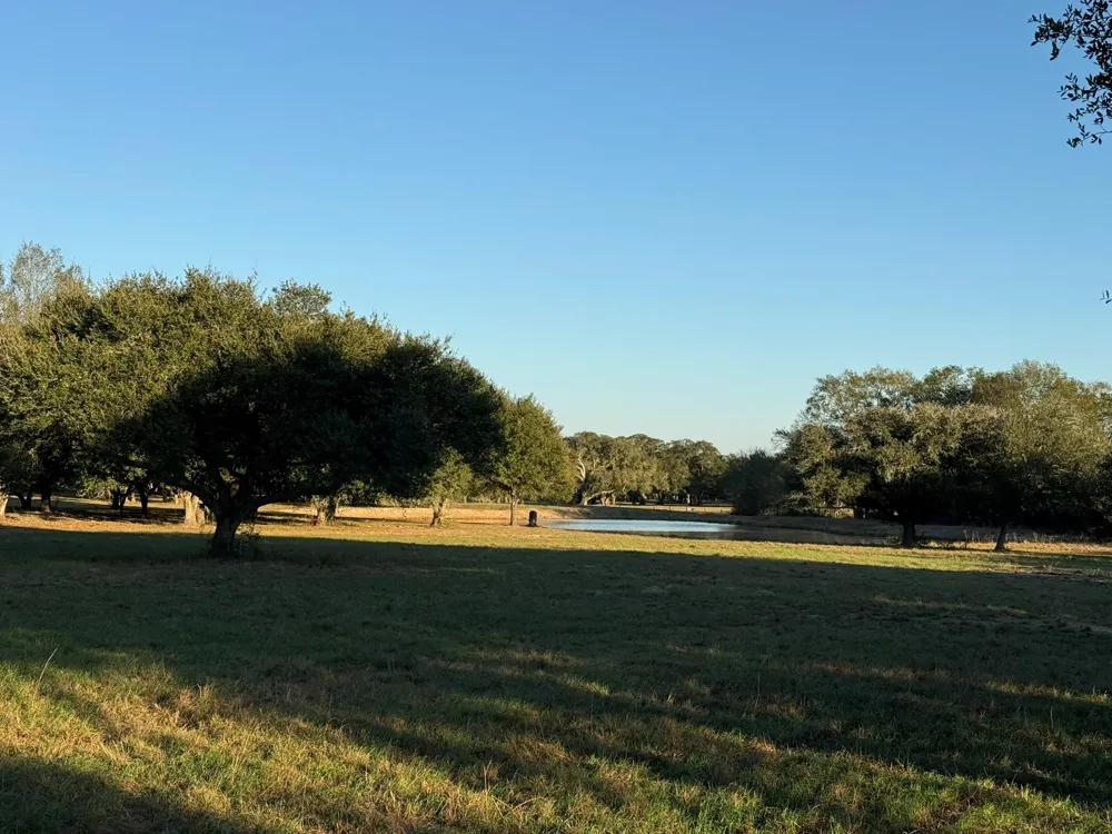 Rubin Lee Road Cat Spring, TX 78933