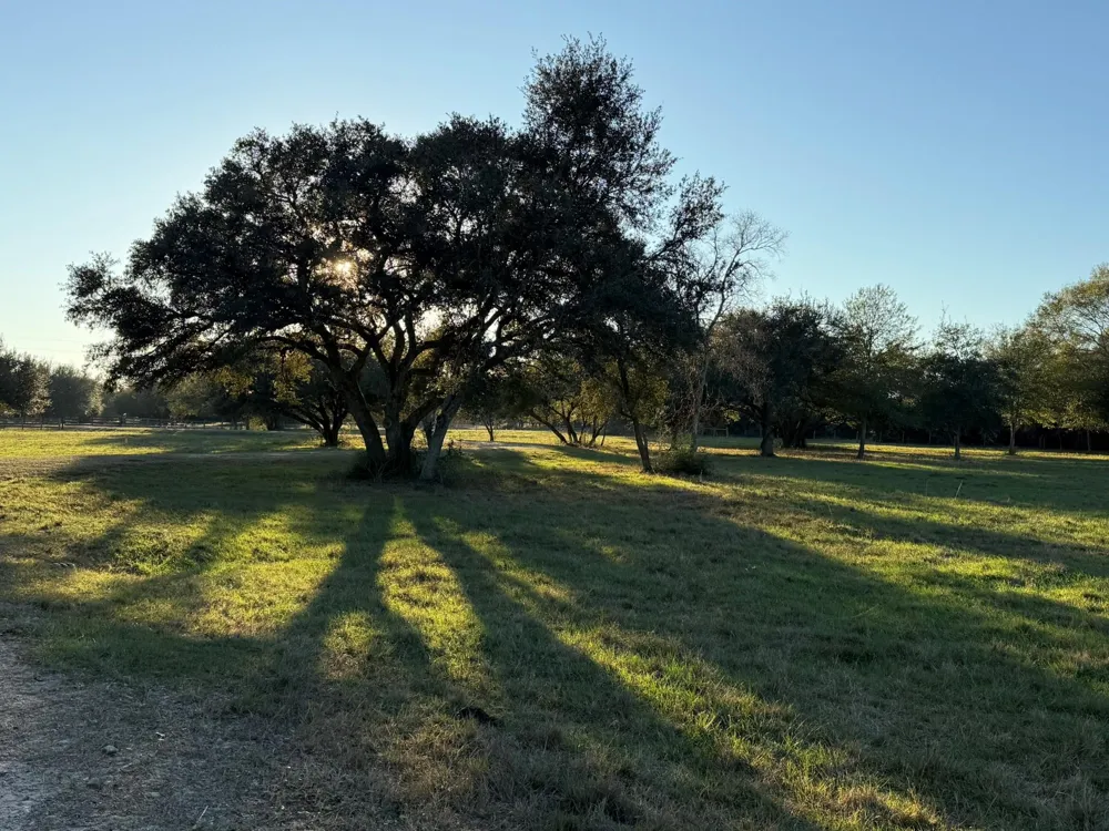 Rubin Lee Road Cat Spring, TX 78933