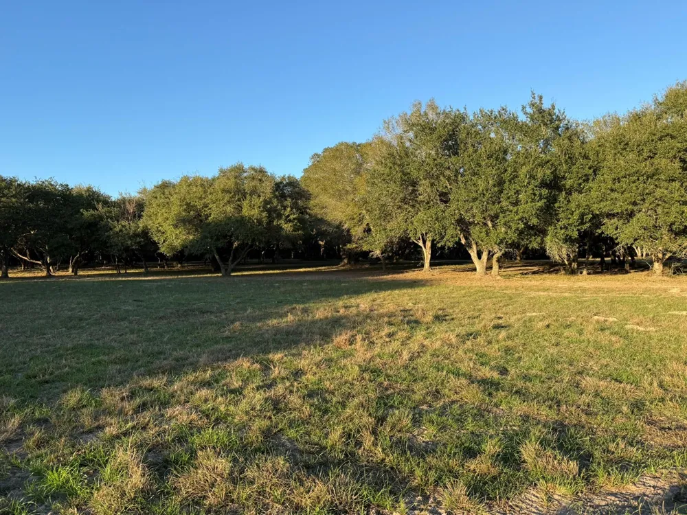 Rubin Lee Road Cat Spring, TX 78933