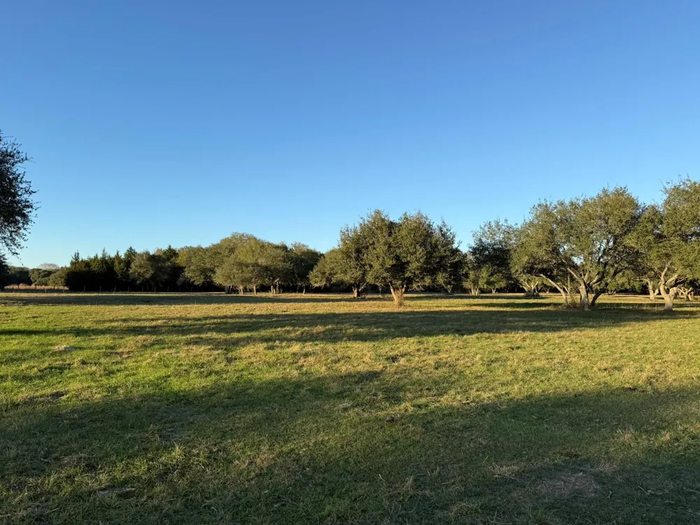 Rubin Lee Road Cat Spring, TX 78933