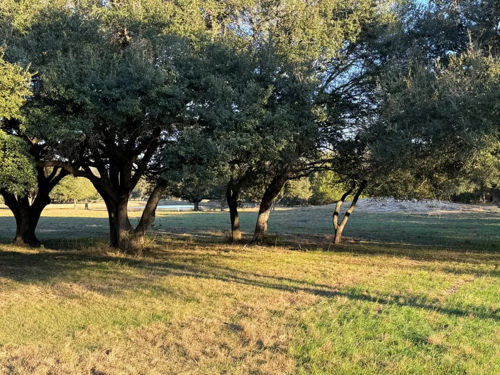 Rubin Lee Road Cat Spring, TX 78933