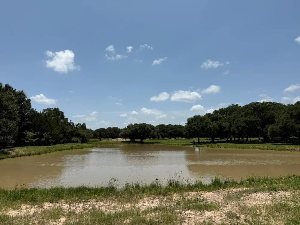 Rubin Lee Road Cat Spring, TX 78933
