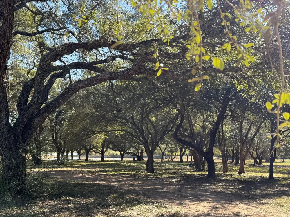 Rubin Lee Road Cat Spring, TX 78933
