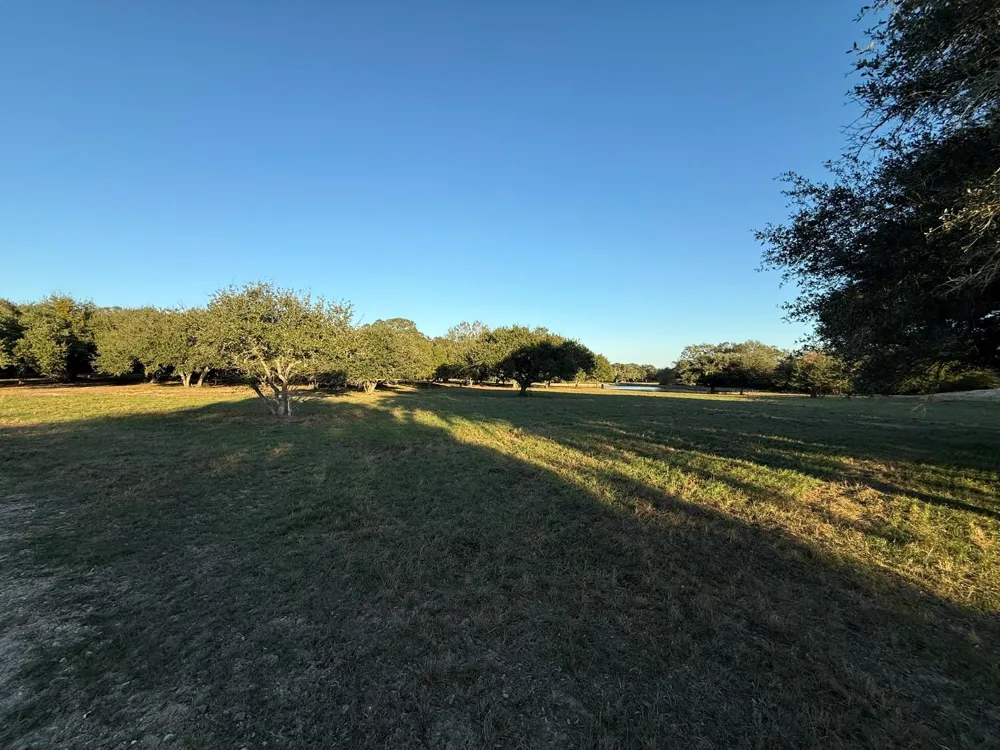 Rubin Lee Road Cat Spring, TX 78933