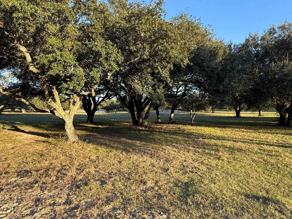 Rubin Lee Road Cat Spring, TX 78933