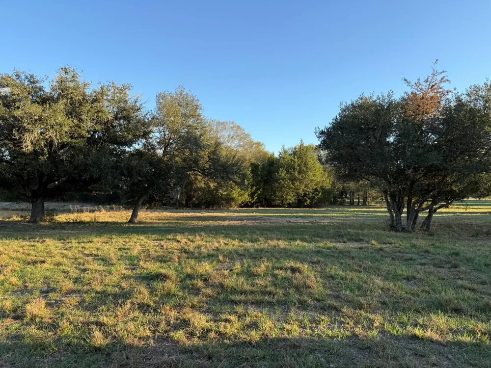 Rubin Lee Road Cat Spring, TX 78933
