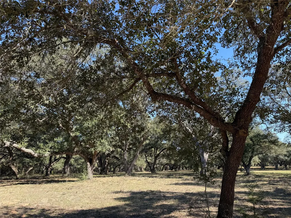 Rubin Lee Road Cat Spring, TX 78933