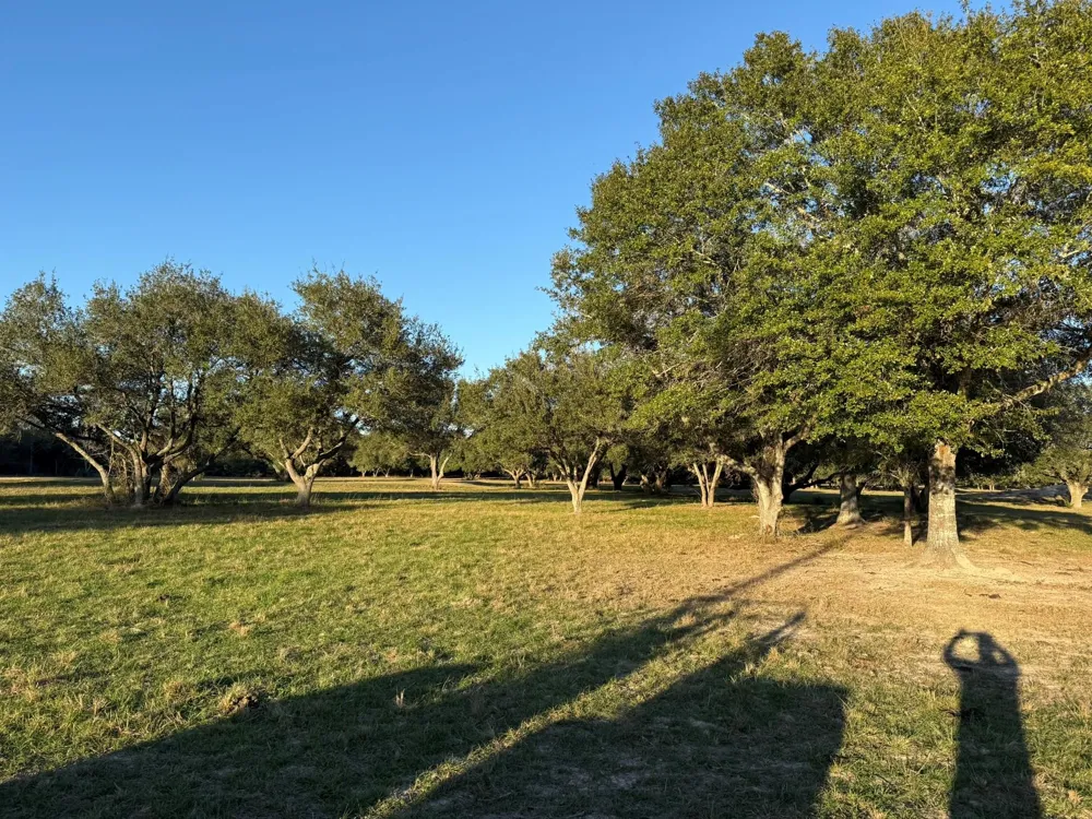 Rubin Lee Road Cat Spring, TX 78933