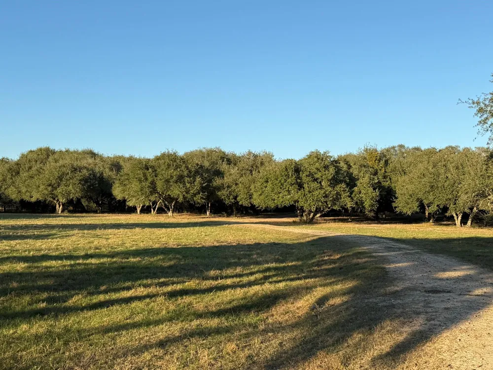 Rubin Lee Road Cat Spring, TX 78933