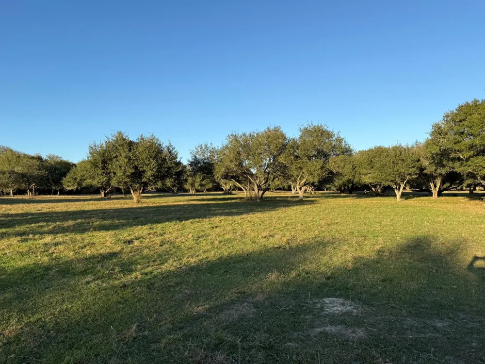 Rubin Lee Road Cat Spring, TX 78933