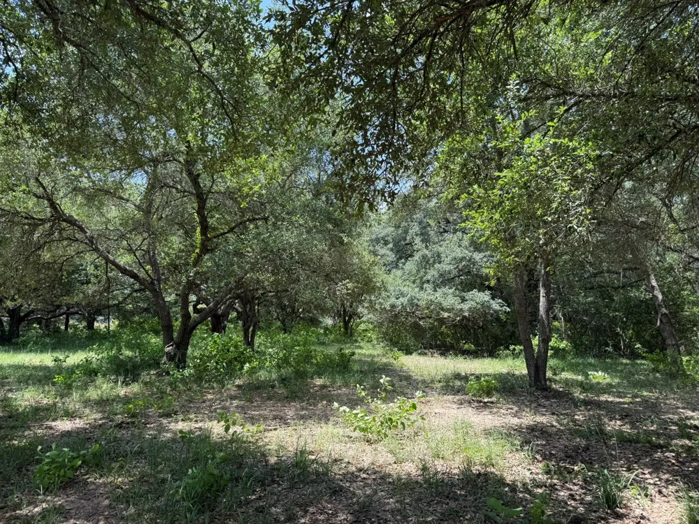 Rubin Lee Road Cat Spring, TX 78933