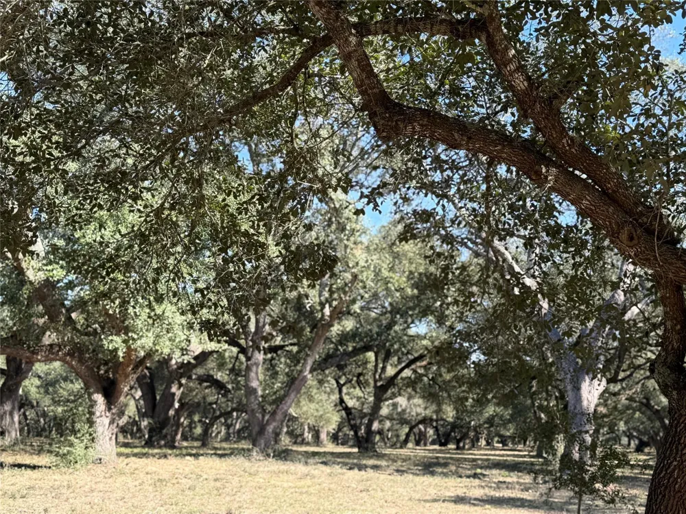 Rubin Lee Road Cat Spring, TX 78933