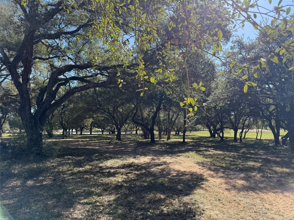 Rubin Lee Road Cat Spring, TX 78933