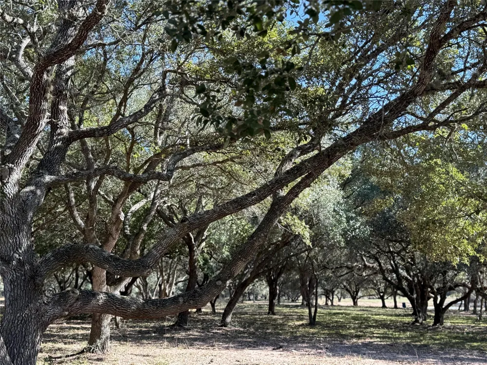 Rubin Lee Road Cat Spring, TX 78933