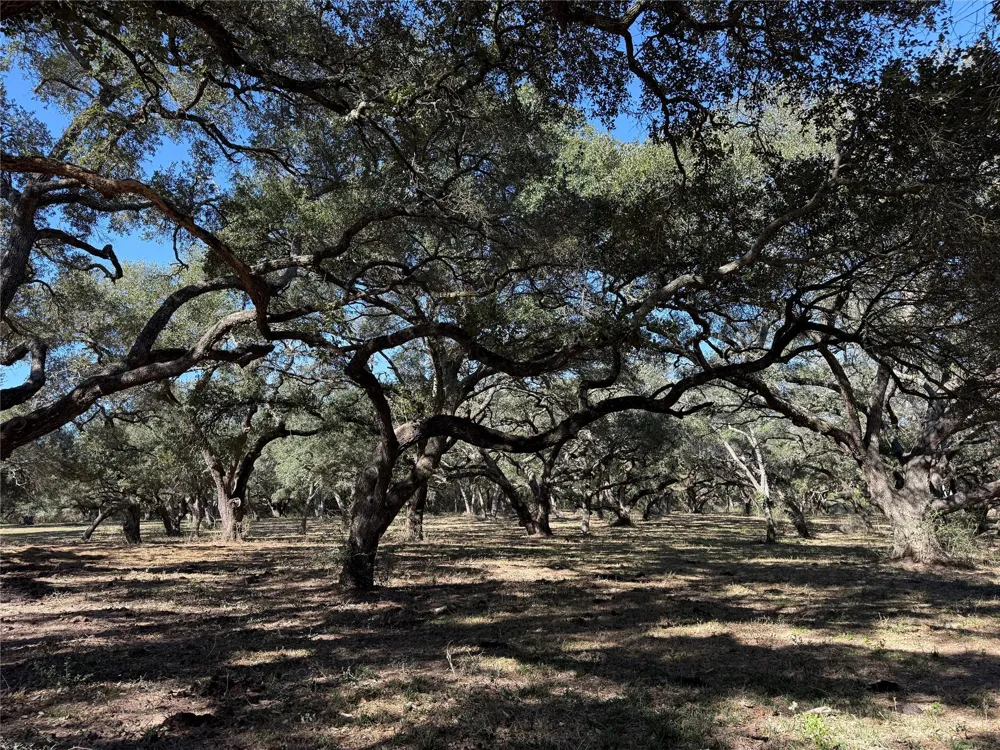 Rubin Lee Road Cat Spring, TX 78933