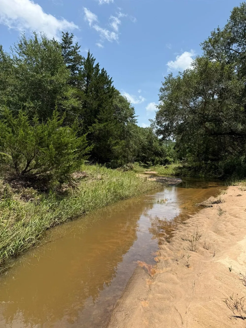 Rubin Lee Road Cat Spring, TX 78933